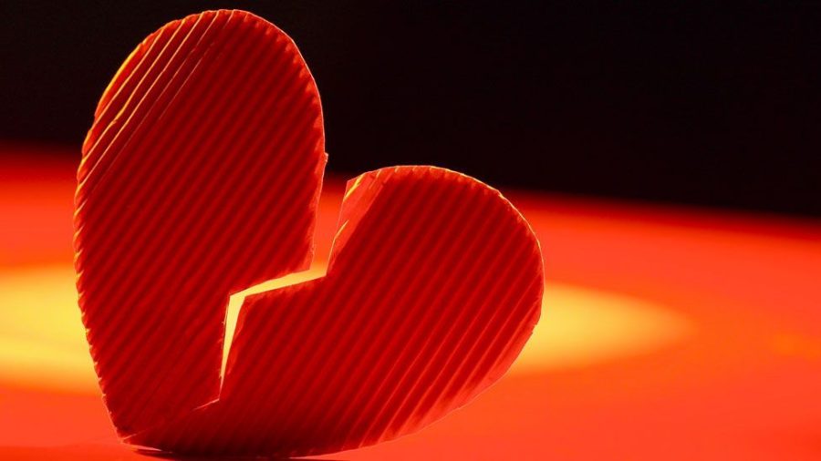 Where Do Broken Hearts Go On Valentines Day?