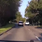 Pearland police vehicle response after a chase involving a white GMC Sierra and cash thrown from the truck